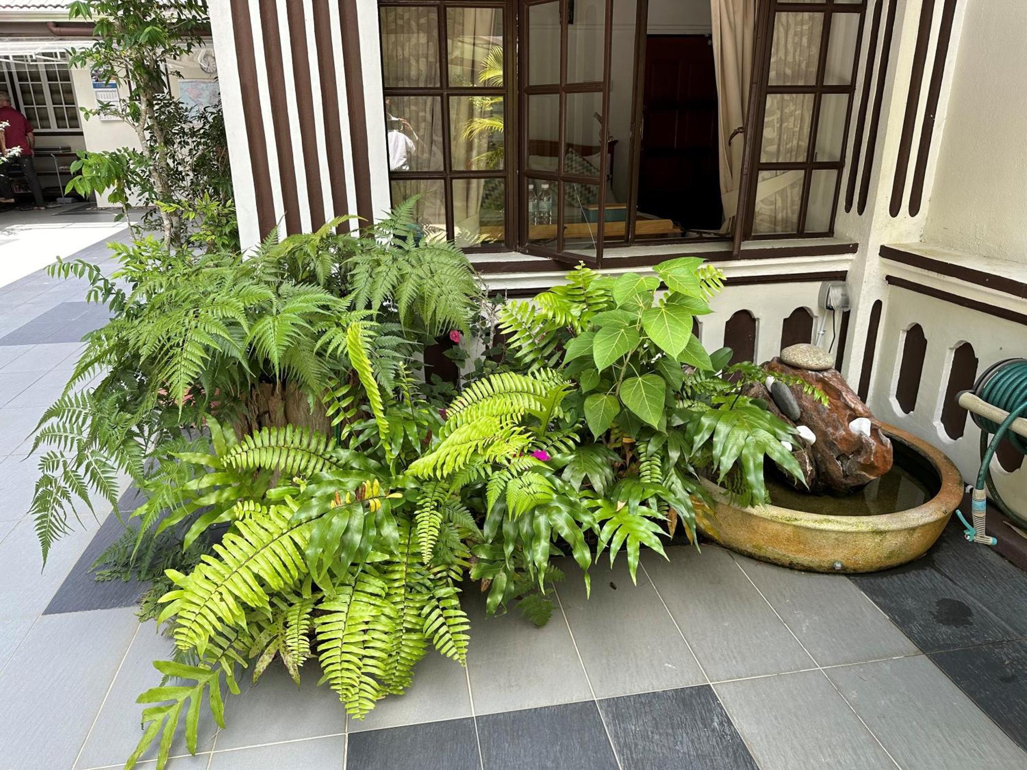 Hickory Penang Hill Hotel Ayer Itam Екстериор снимка